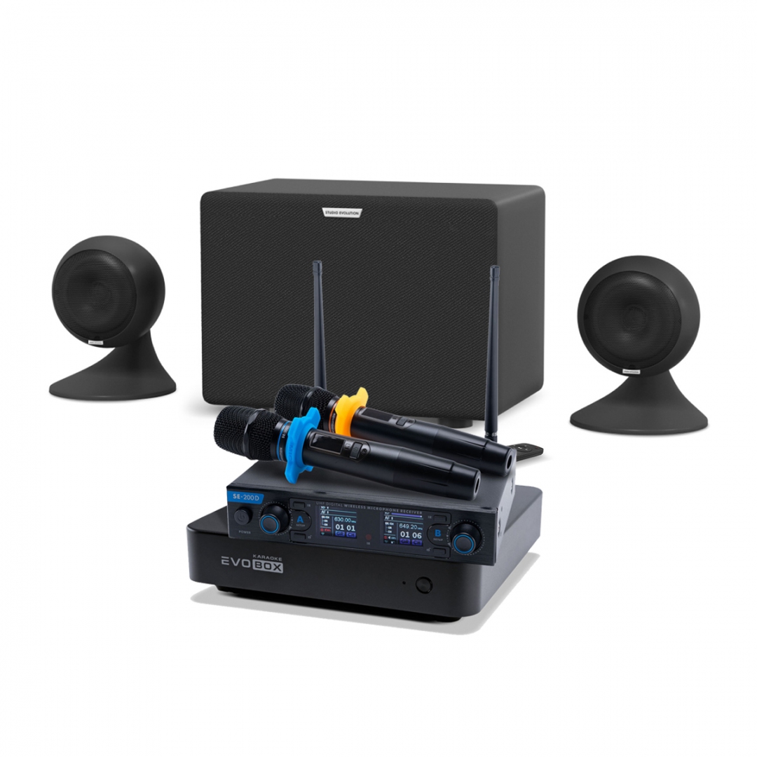 караоке-комплект EVOBOX + EvoSound Sphere 2.1 в Читинской области