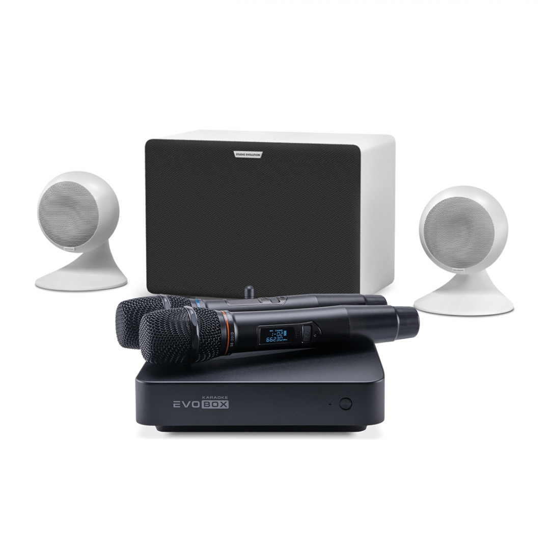 караоке-комплект EVOBOX Classic + EvoSound Sphere 2.1 в Читинской области