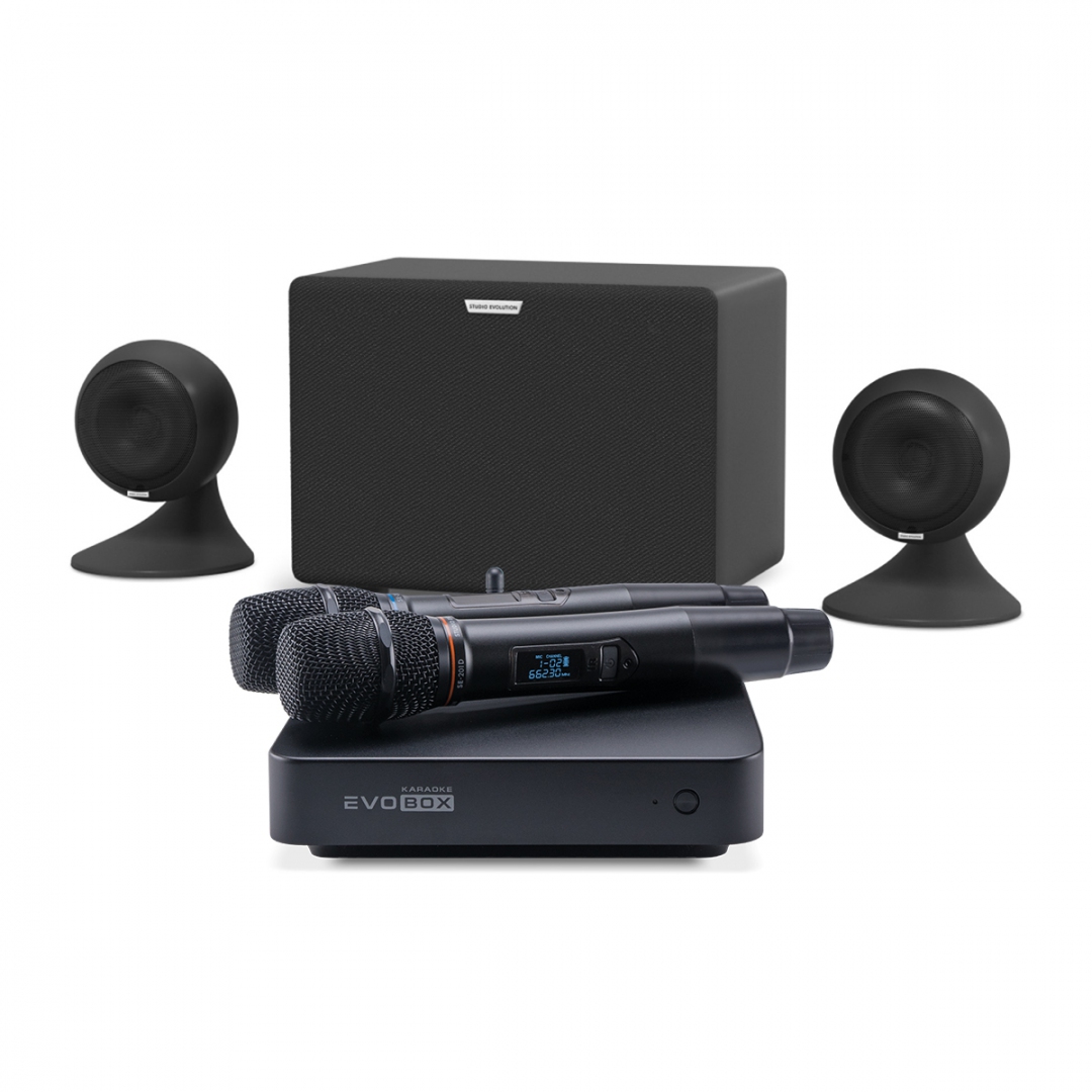 караоке-комплект EVOBOX Plus + EvoSound Sphere 2.1 в Читинской области