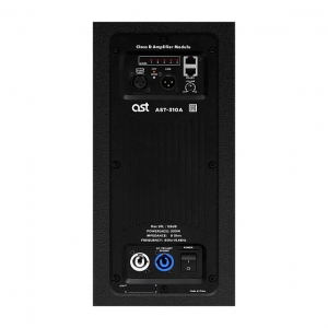 Активная акустическая система AST-310A в Читинской области